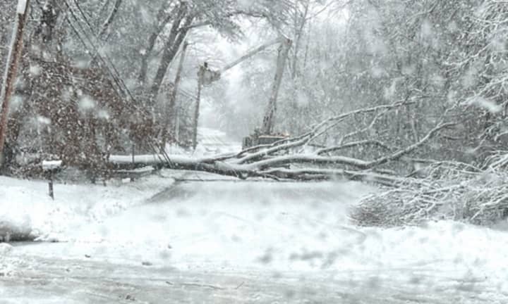 Heavy snow and winds are causing concern as trees and power lines are being taken down and causing power outages across Massachusetts