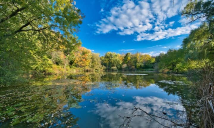 Hall&#x27;s Pond is just one of the beautiful natural features in Brookline, Massachusetts.