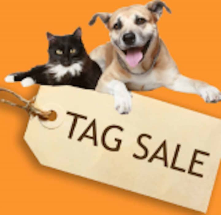 The Danbury Animal Welfare Society will hold their annual tag sale on Saturday June 11 and Sunday, June 12 in Bethel.