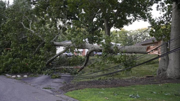 A man working on Tropical Storm Isaias storm cleanup in Morris Township was killed when a branch fell on him, authorities said.
