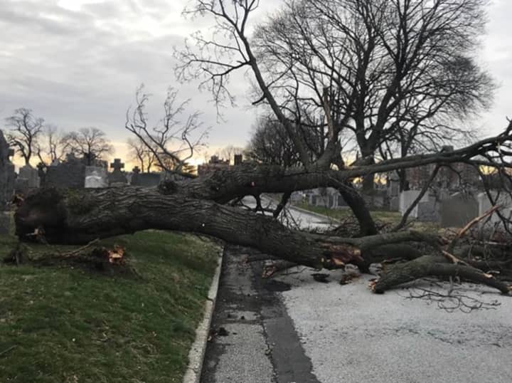The recent rash of Nor&#x27;easters devastated the Hudson Valley.