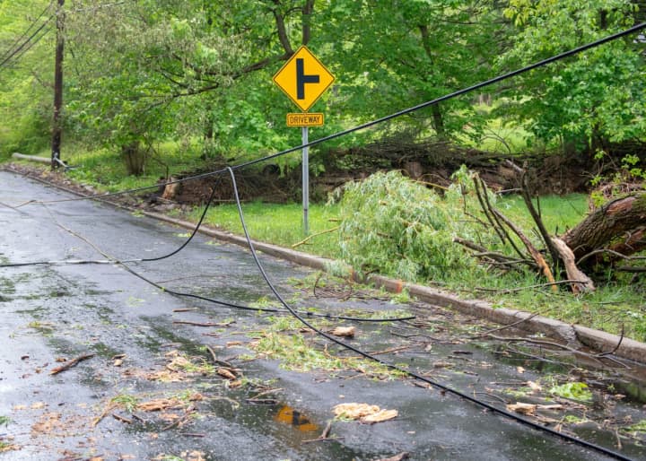 The Nor&#x27;easter brought trees and power lines down in the Hudson Valley.
