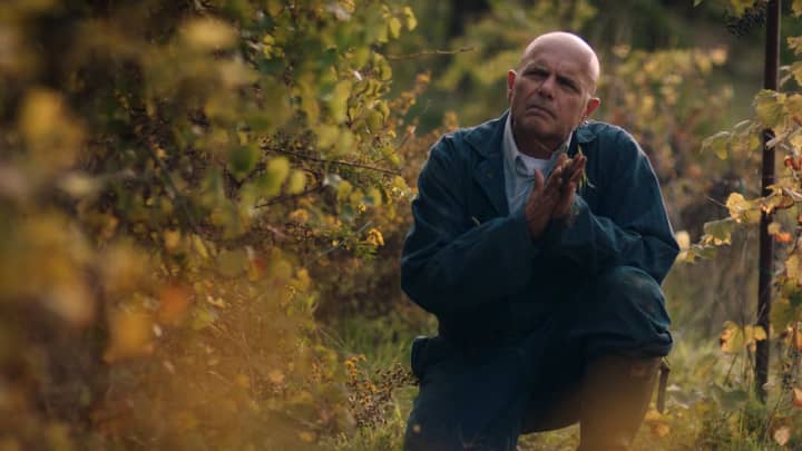Joe Pantoliano as Marco Gentile in &quot;From The Vine.&quot;