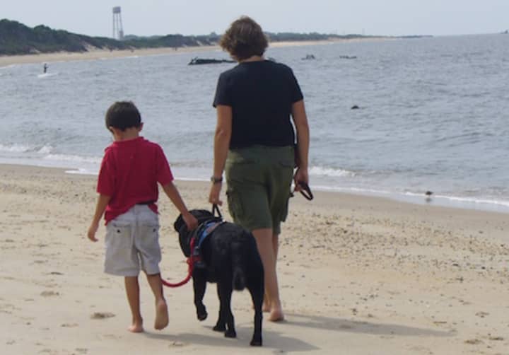 Guiding Eyes for the Blind’s Heeling Autism dogs provide safety and companionship for children with autism 