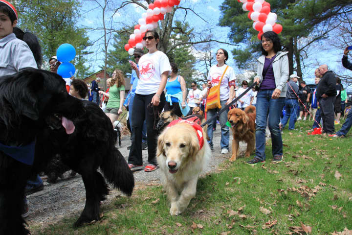 The SPCA&#x27;s 12th annual Dog Walk and Pet Fair takes place Saturday