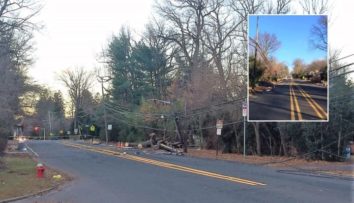 High winds uprooted the tree between Riveredge Road and Sunset Lane – a major travel route for commuters.