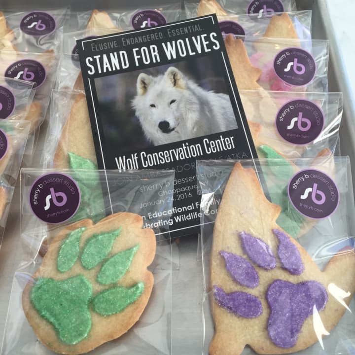 The Wolf Conservation Center will bring Atka the wolf to sherry b, a dessert studio in Chappaqua, for an educational and fundraising event.
