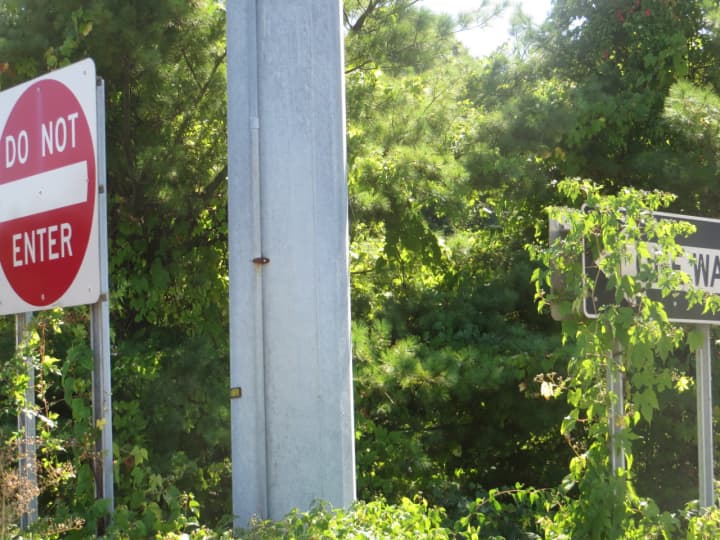 The one-way sign at the top of a highway exit ramp is obscured by weeds.