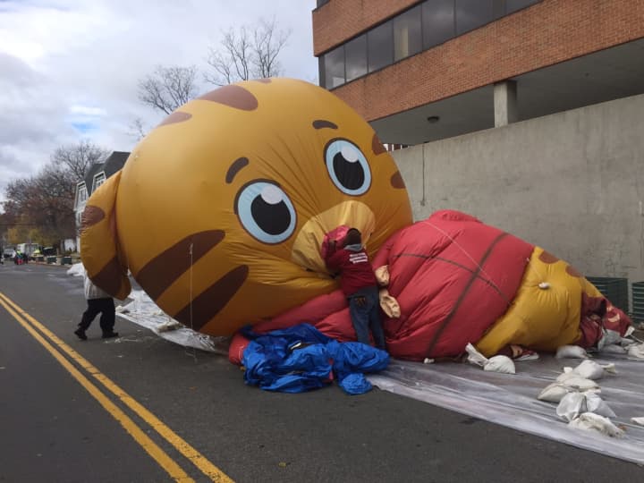 Workers deflate the balloons from the parade on Sunday. It was too windy to fly the giant characters in the UBS Parade Spectacular in Stamford.
