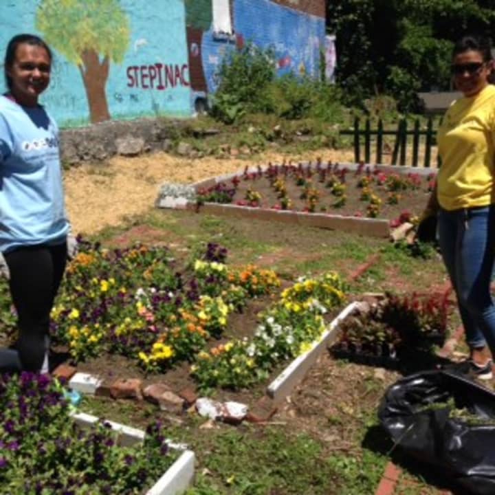 Volunteers work at the community gardens