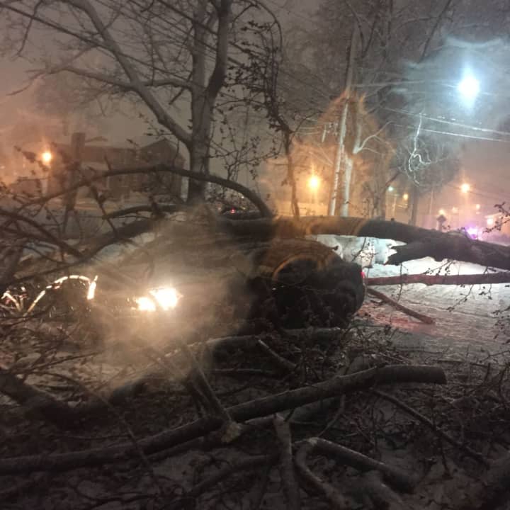 A Hackensack driver climbed out the passenger door after a tree fell on his vehicle around 7:30 p.m. Wednesday.