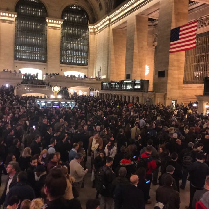 Trains have been delayed by up to one hour on the New Haven and Harlem lines due to police activity at Botanical Gardens.
