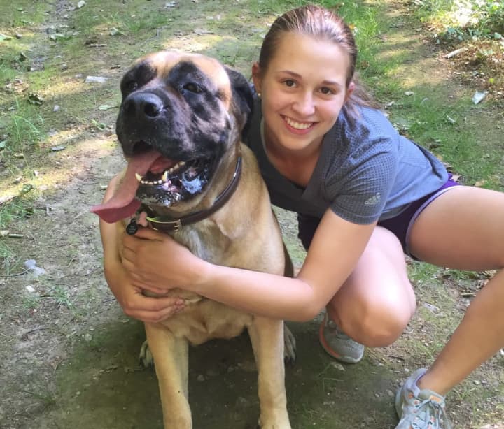 Rosie, a 4-year-old English mastiff, has been missing since Monday, Aug. 1.