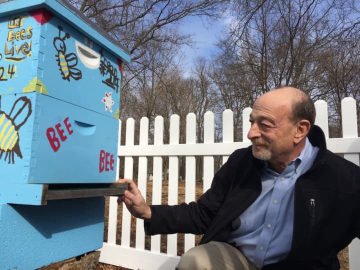 Richard Schluger checks on the beehive at Larkin House in Wyckoff.