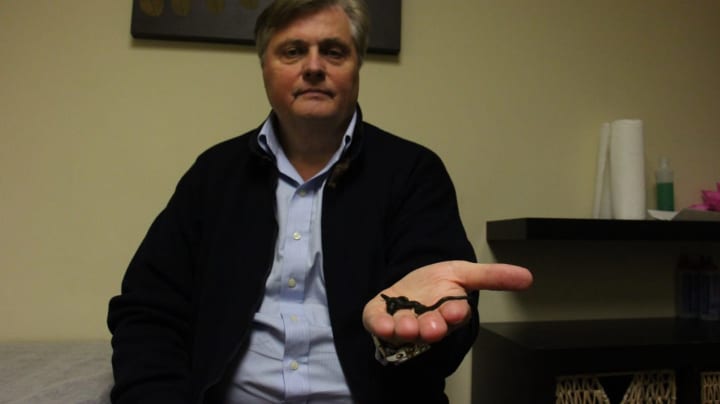 Leech Therapist Andrew Plucinski said leeches are used across the world for many different purposes, but a stigma in the United States prevents most Americans from taking it seriously.
