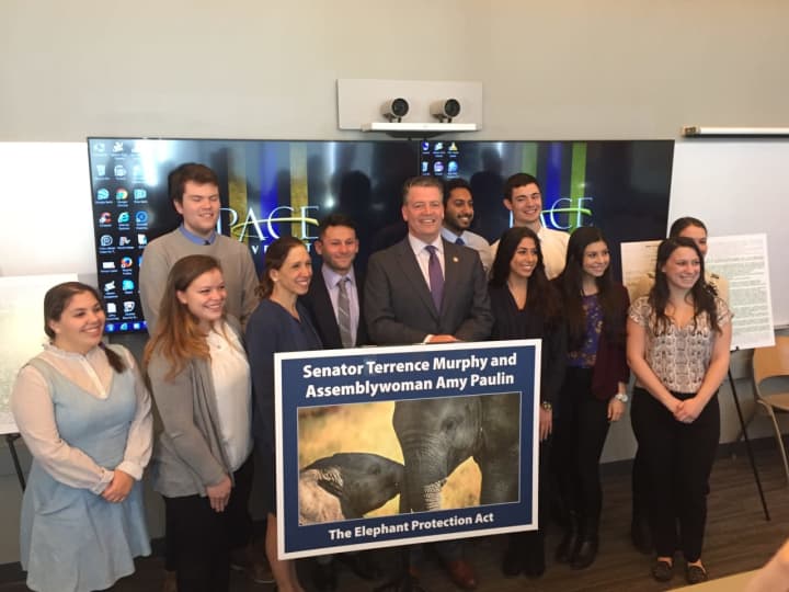 Pace students joined with State Sen. Terrence Murphy and Assemblywoman Amy Paulin on Friday.