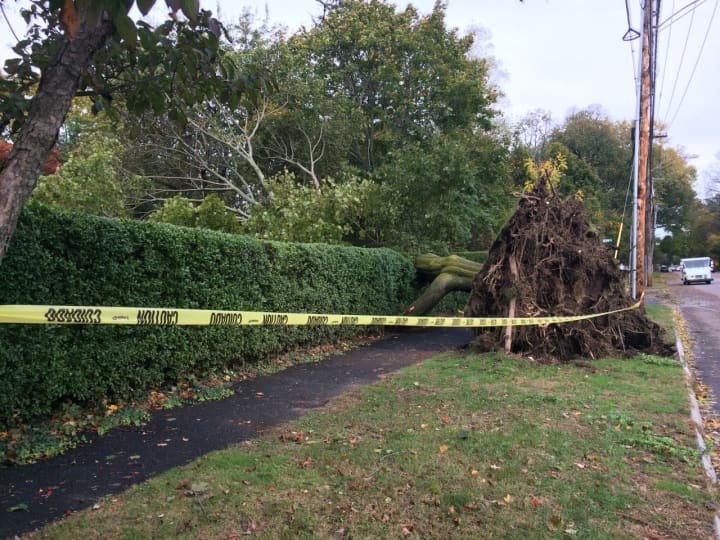 Sunday&#x27;s storm brought down this large tree on Old Post Road in Fairfield.