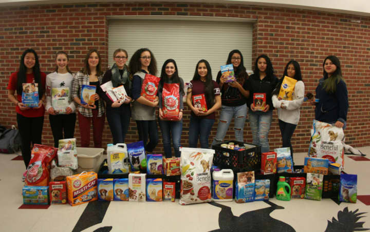Students from Sleepy Hollow High School&#x27;s PAW club (Promoting Animal Welfare), collected food for local pet food pantries. 
