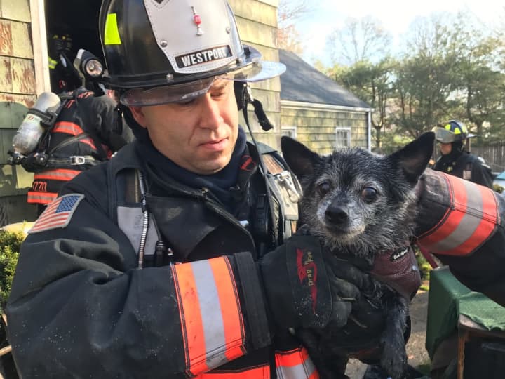 Westport firefighters rescue a dog from a blaze at a home on Cross Highway on Monday morning.
