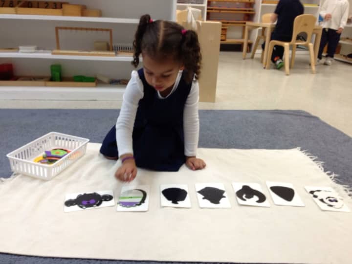 The Montessori School of Alexandria (MSA) offers child-centered learning based on&nbsp;the educational philosophy of Dr. Maria Montessori, a pioneer in educational&nbsp;methods and child psychology.