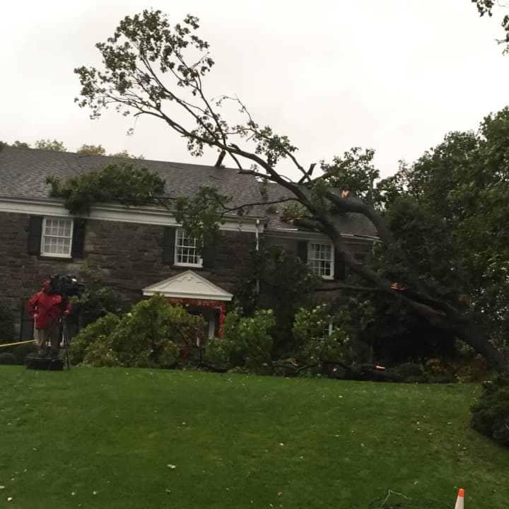 News crews film on the 400 block of Maple Hill Drive in Hackensack Monday morning, where a tree fell on a house, damaging the roof.