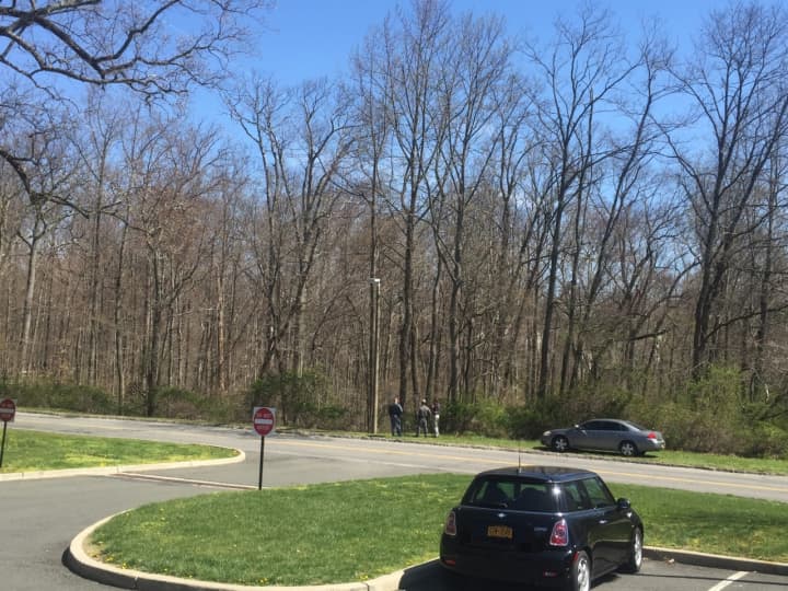 The woods at SUNY Purchase College where a gunman calling himself &quot;Phil&quot; reportedly fled on Sunday night after flashing a handgun at students during an argument at a dormitory block party, witnesses told Daily Voice. No one has been arrested.