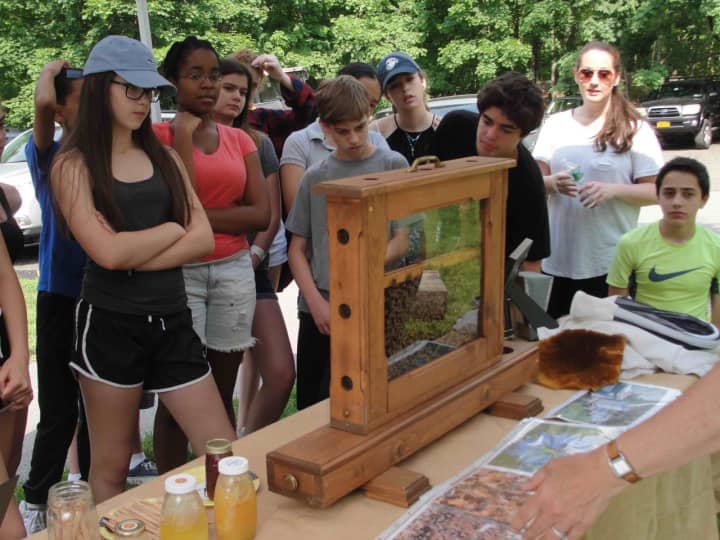 Irvington Middle School students explored the great outdoors during their annual eighth-grade field trip to the O’Hara Nature Center on May 27.