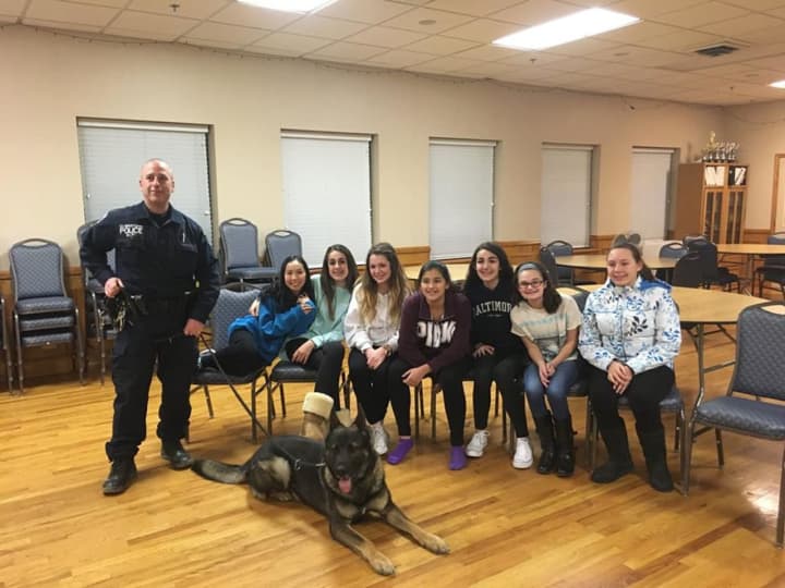 It&#x27;s National Dog Day, and the Clarkstown PD appreciate their canine partners.
