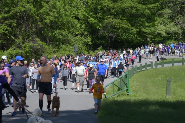 More than 600 people participated in the Northwell Health Walk