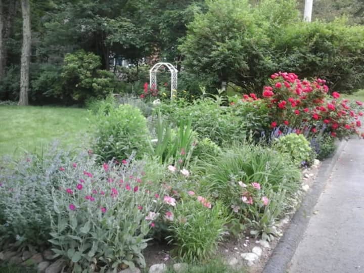 Come June, what was a dead-looking patch in April in Norwalk resident Laura White&#x27;s garden is lush with flowers.