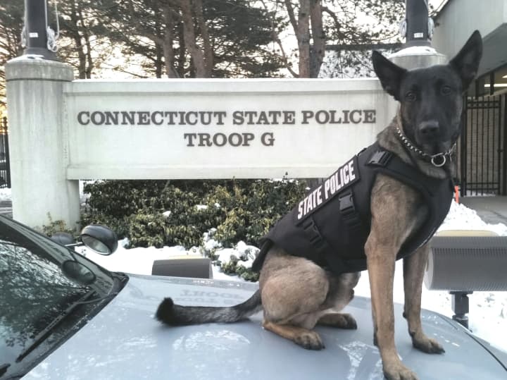 Officer Silver, a police K-9 assigned to Connecticut State Trooper First Class Thomas Mitri at Troop G in Bridgeport, has received body armor from Vested Interest in K9s Inc., a nonprofit organization.