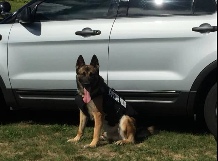 Connecticut State Police K9 Nero has received a protective vest thanks to a charitable donation from a nonprofit organization.