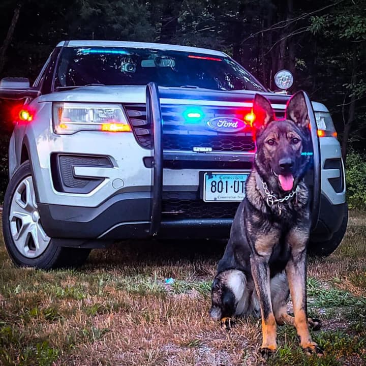 Connecticut State Police K9 Zedo helped locate a 76-year-old man who went missing over the weekend.