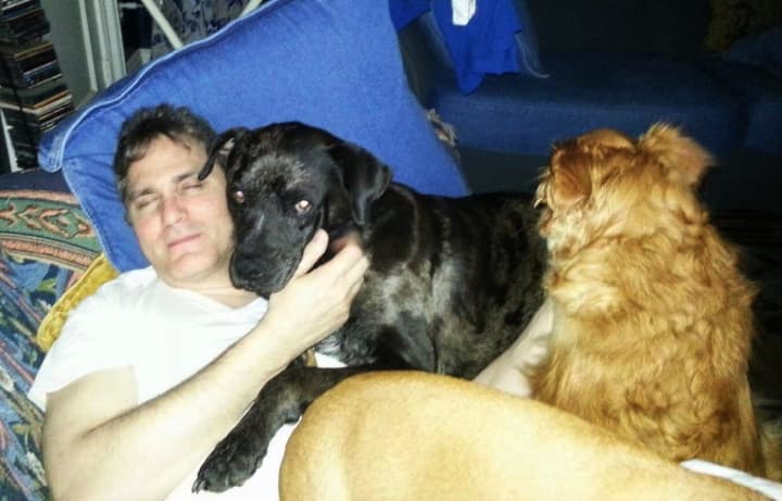 Theo, Eos and Hera -- who barely made it into the picture -- use Ken Nardello as their own couch.