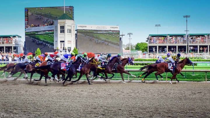 The Lewisboro Land Trust is hosting a Kentucky Derby viewing party and fundraiser on May 7 at Vivien Malloy&#x27;s Edition Farm.