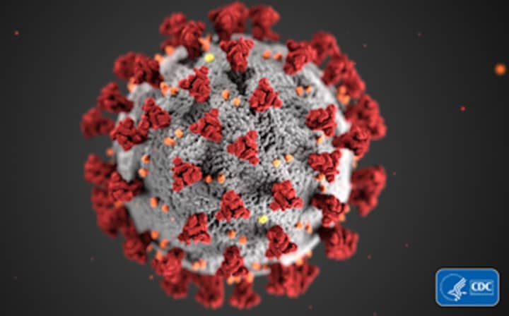 A coronavirus cell.