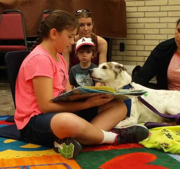 Reading to a dog