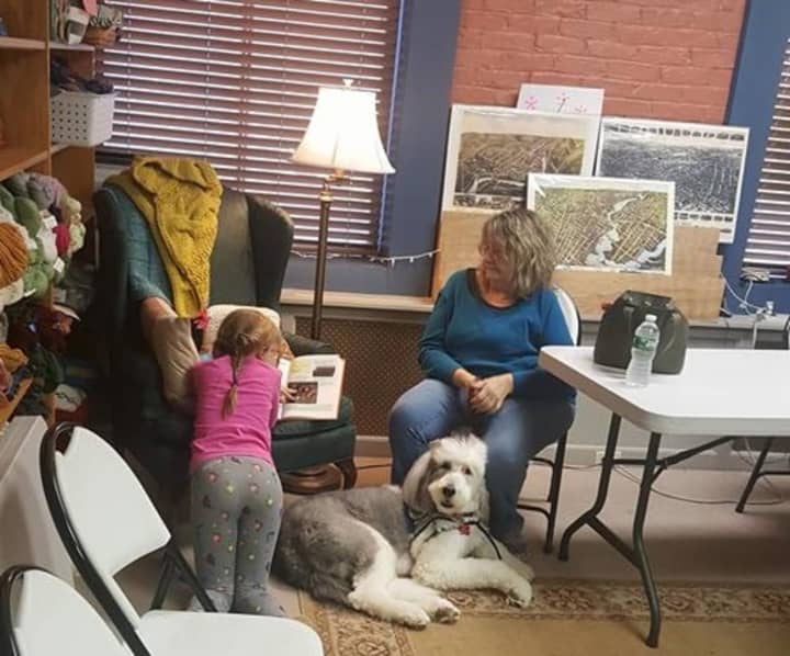 Ollie, a certified therapy dog, and his &quot;mom,&quot; Carol Kirby, listen while a child taking part in the B.A.R.K. program reads aloud from a book at the Written Words Bookstore in Shelton.