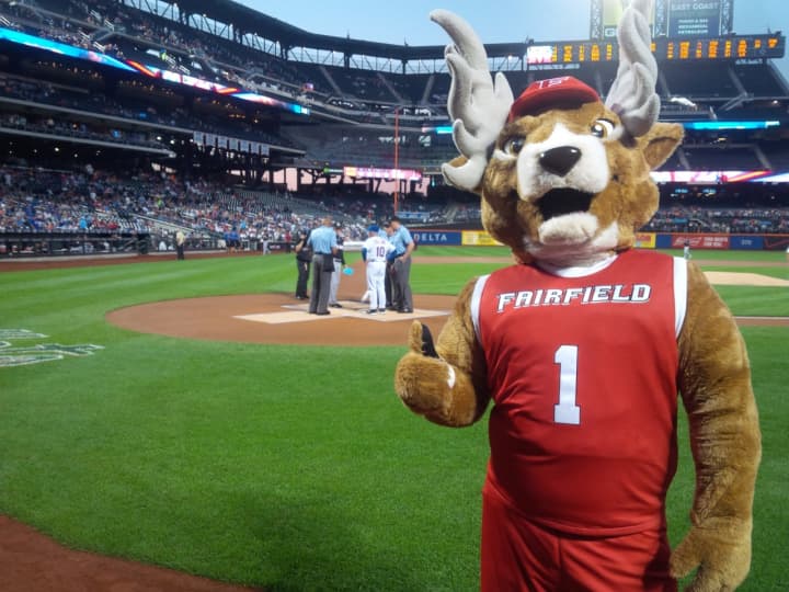 Fairfield University Athletics was awarded a gold medal from the National Association of Collegiate Marketing Administrators for its #LucasOnTheLoose campaign.