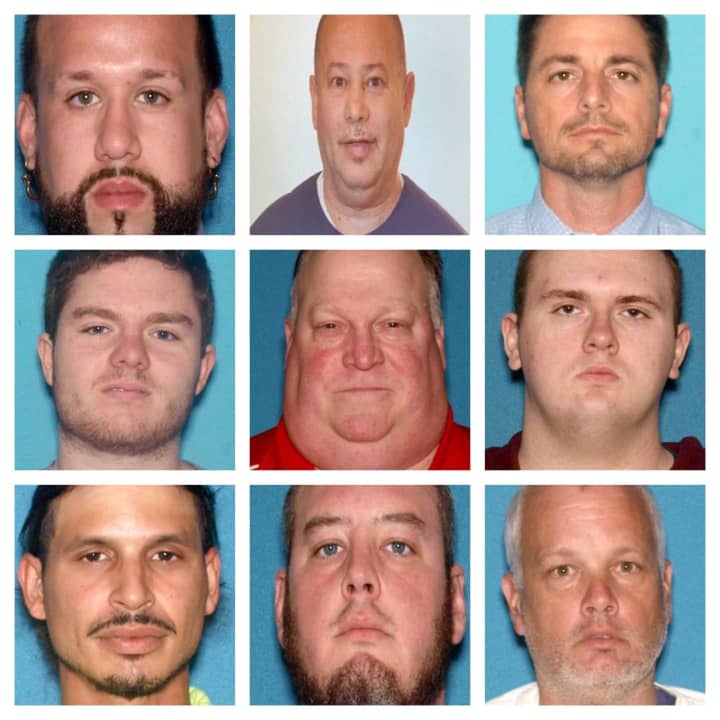 These men all were charged with various child sex crimes ranging from assault and child endangerment to the possession and distribution of child pornography.