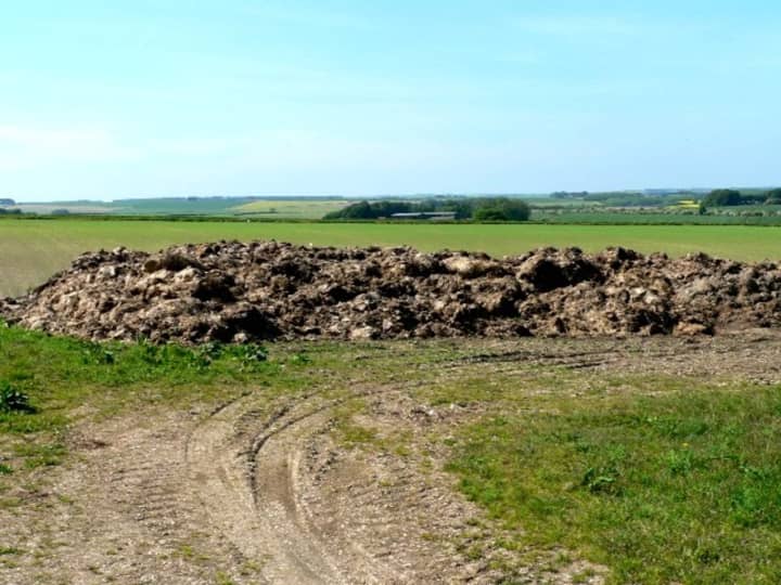A Bethel farm is being sued due to the pungent odor of its manure.