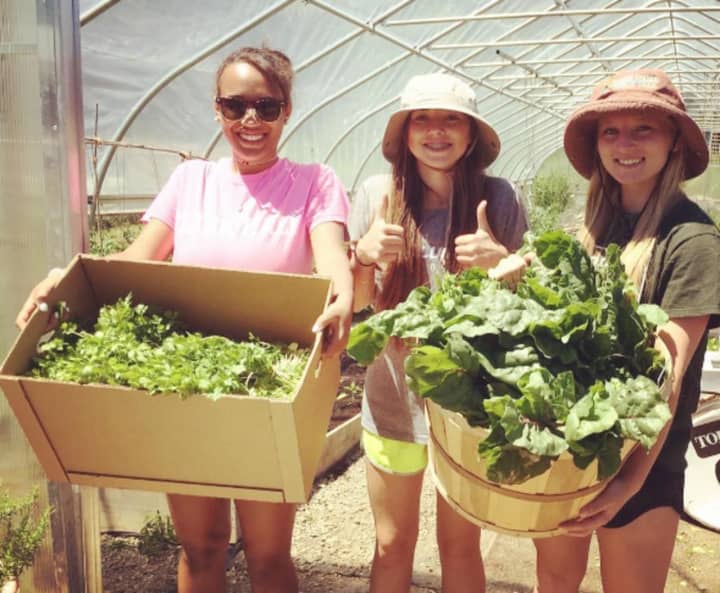 Millbrook students display some of the produce they grew on their school&#x27;s farm. Vegetables and leafy greens were donated to a food pantry in Amenia.