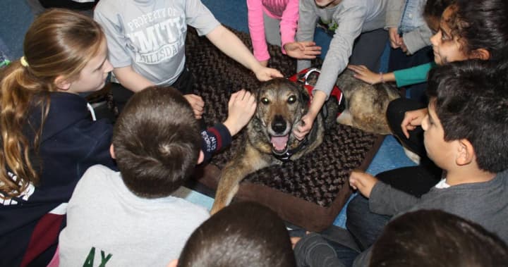 Hillsdale students learned about acceptance with the help of Sydney, a three-legged dog.