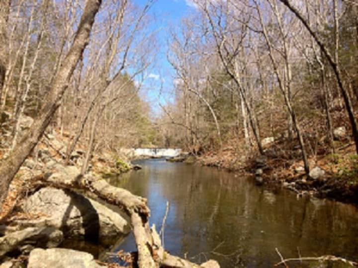 The Mianus River Gorge Preserve is hosting a winter walk on Sunday in Bedford.