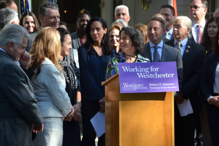 A new program will address domestic violence in Northern Westchester.