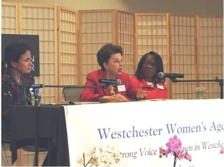 A Westchester Women&#x27;s Agenda study has generated lively discussion about increasing pressures, disparities and new demands on women and families.