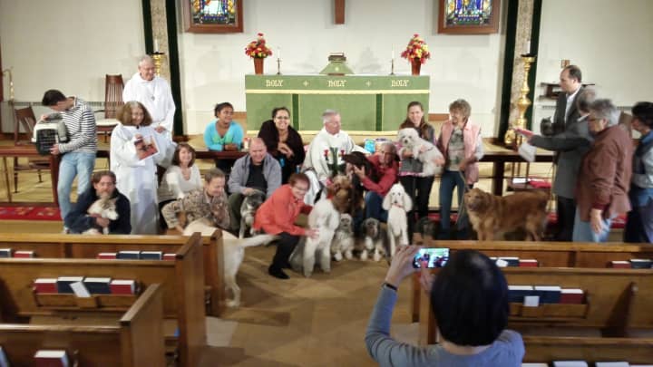St. Luke&#x27;s Episcopal Church in Haworth will offer a &quot;Blessing of the Animals&quot; Sunday.