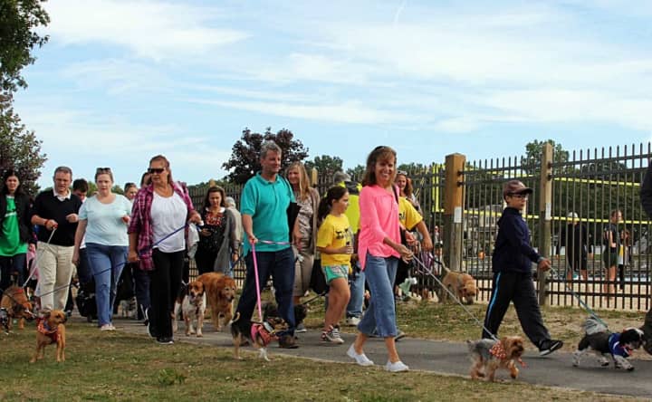 Pooches are welcome to stroll for a good cause this October.