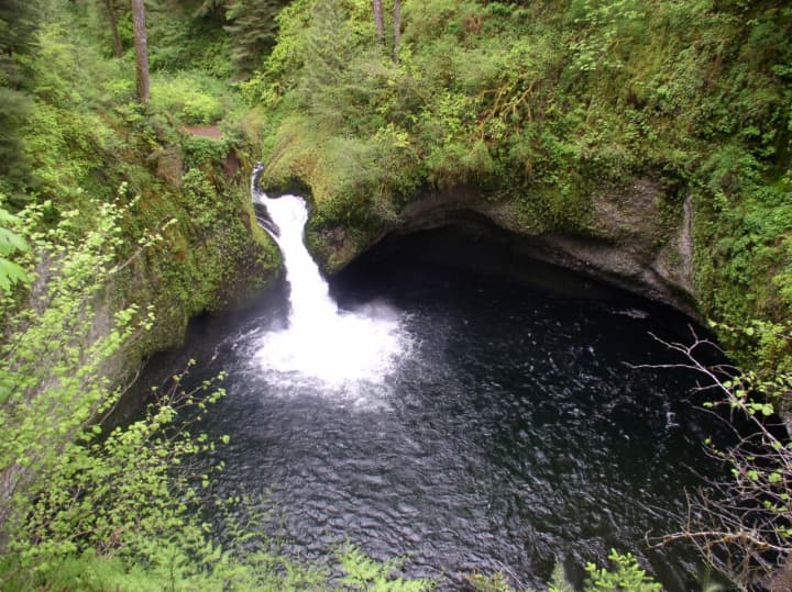 A 20-year-old Eastchester man fell to his death while hiking the Eagle Creek Trail in Oregon.