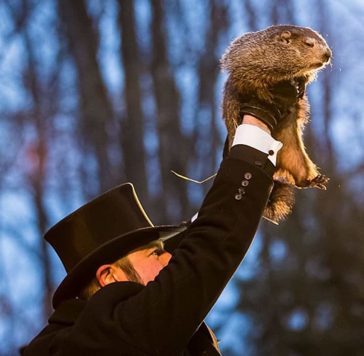 Punxsutawney Phil emerged from his perch in Pennsylvania and has just delivered his eagerly awaited Groundhog Day prediction.
